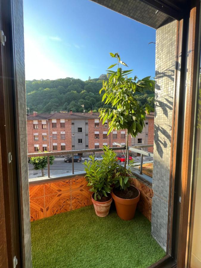 Mountain View Apartment 米耶雷斯 外观 照片